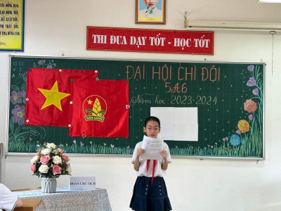 Đại học chi đội mẫu năm học 2023-2024